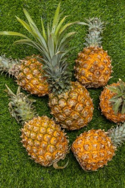 梦到菠萝是什么意思_菠萝梦境解析