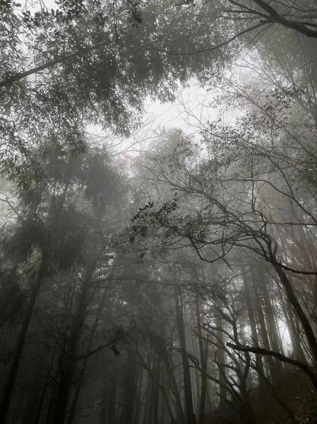 梦到雾是什么意思_梦见大雾代表什么