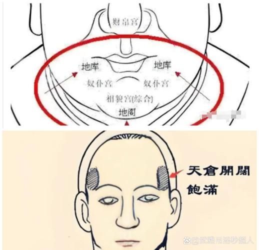 鼻头很圆财运好_鼻头圆的人真的有钱吗