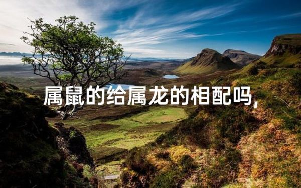 老鼠跟龙属相配吗_属鼠和属龙婚姻合不合