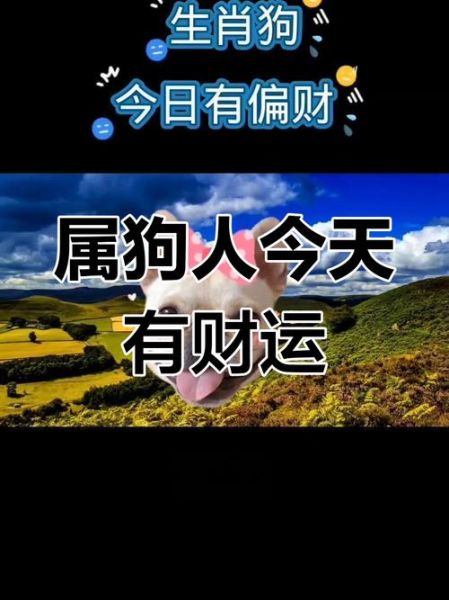属狗明日财运如何_属狗人明天偏财旺吗