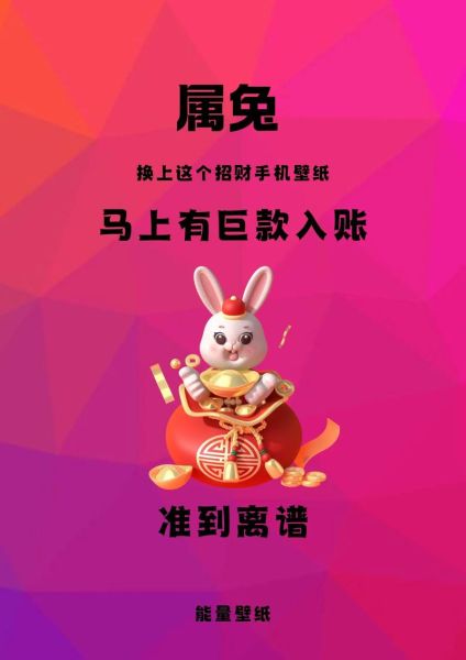 生肖兔2025运势如何_属兔人2025年财运怎么样