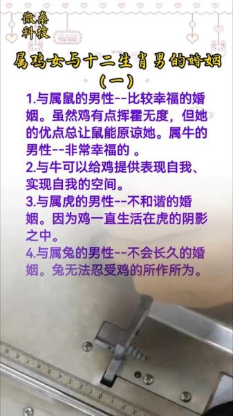 鸡和什么属相合不合_属鸡婚配宜忌全解析