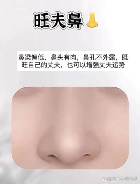 鼻头大财运好吗_鼻头有肉真的招财吗