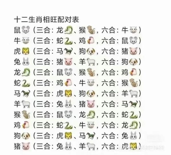 龙和鼠在一起财运好吗_属龙属鼠如何招财