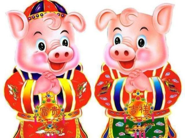 猴猪年财运如何_属猴属猪合财吗