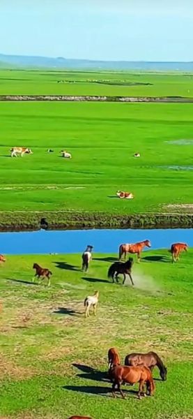 梦到草原是什么意思_草原梦境解析