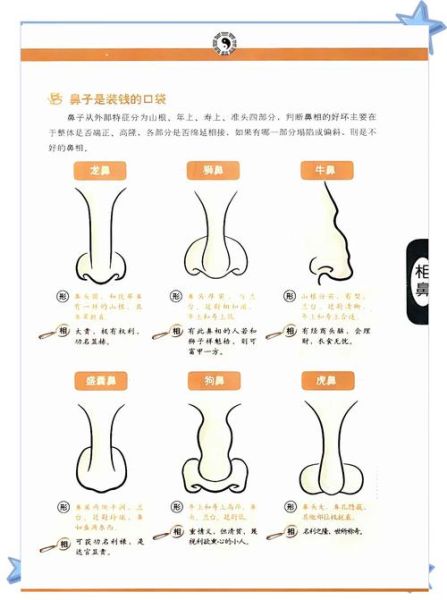 鼻梁低财运_鼻梁低真的会影响财运吗