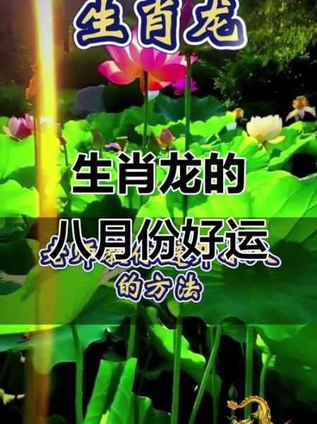 2017属龙8月财运如何_属龙8月财运提升方法