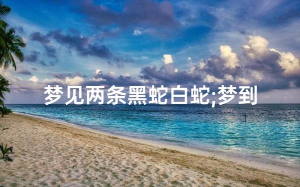 梦到抓白蛇是什么意思_白蛇被抓预示什么