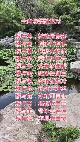龙猴生什么属相好_龙猴夫妻生宝宝属相宜忌