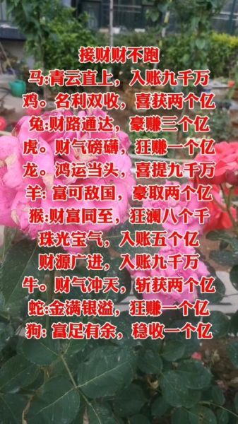 鸡年属兔财运_如何提升偏财运