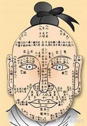 鼻子运势怎么看_鼻子面相图解大全