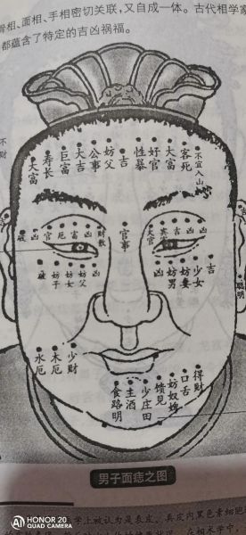 面相看财运怎么看_面相看财运准吗