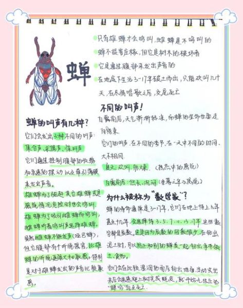 梦到捉知了是什么意思_知了梦境解析