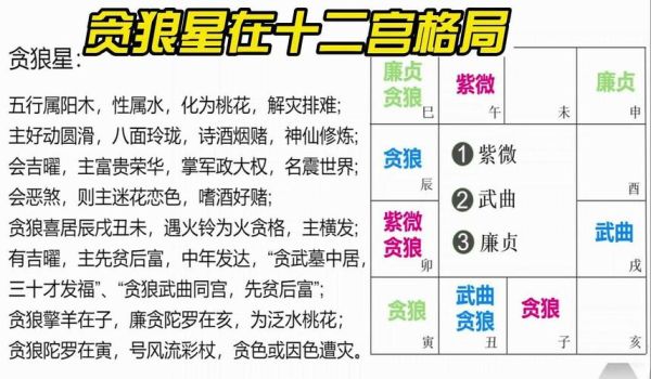 贪狼入命宫财运_贪狼星如何影响财富格局