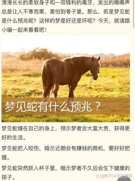 梦见蛇财运如何_梦见蛇预示发财吗