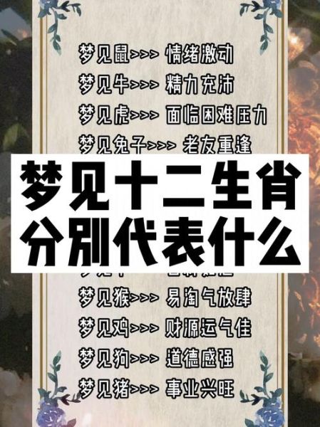 梦见属相相冲怎么办_周公解梦算命属相