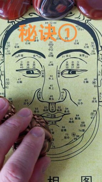 面部十二宫财运_面相十二宫看财富准吗