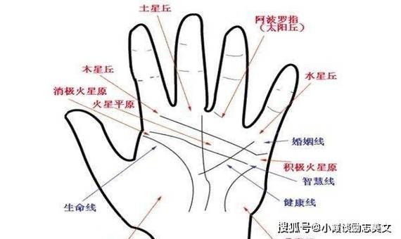 财运线有斜纹代表什么_财运线斜纹图解