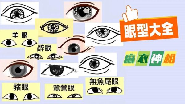 眼睛上的财运怎么看_眼睛有财运纹吗