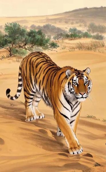 属虎今日财运方位在哪_属虎今日偏财如何