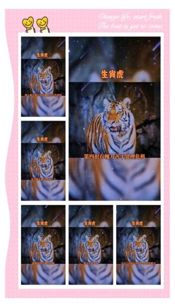 虎侯属相是什么_虎侯属相性格特点