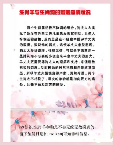 狗和羊的属相合吗_婚姻配对好吗