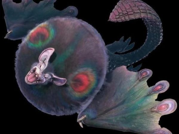 梦到龙入怀是什么意思_龙入怀梦境解析