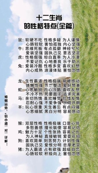 血性是什么_属相与性格关系