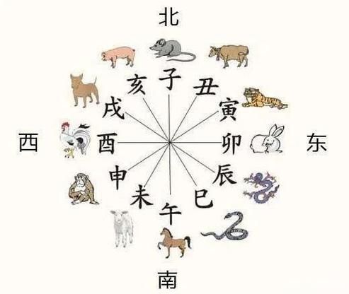 属鼠与什么属相相冲_属鼠相冲生肖有哪些