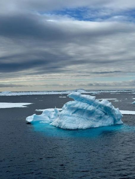 梦到去南极是什么意思_南极旅行攻略