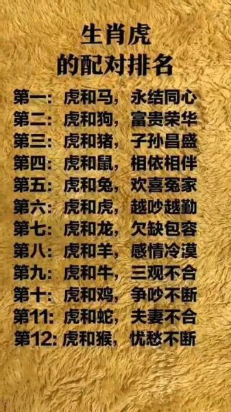 老虎跟什么属相最合_属虎最佳婚配属相