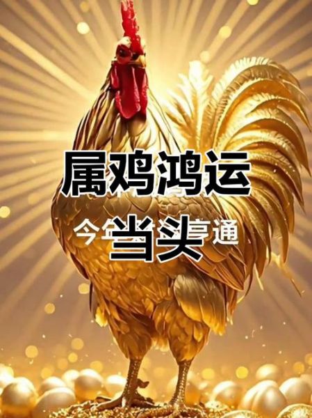 2017年属鸡人每月运势_2017年属鸡人几月财运最旺