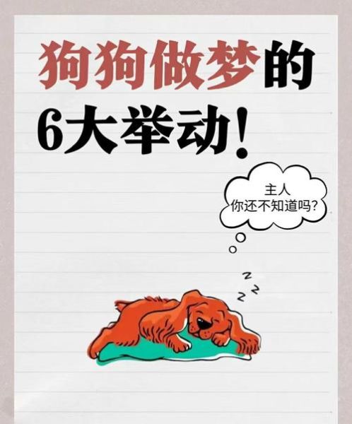 梦到狗阴茎_是什么意思