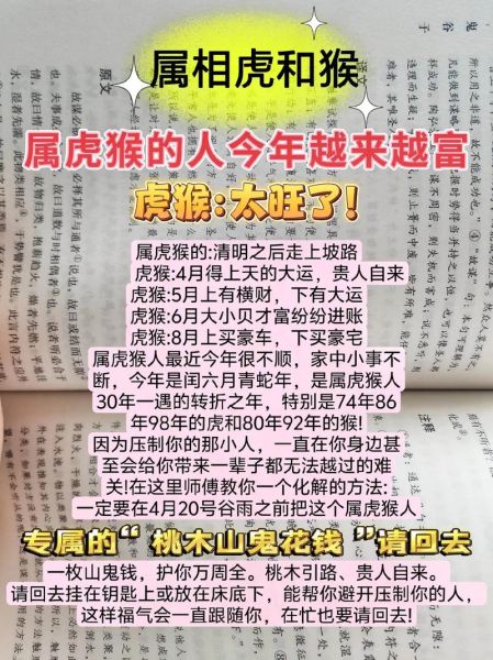 虎和猴财运和吗_属虎属猴合作赚钱吗