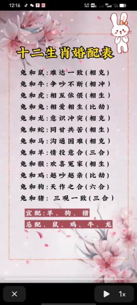 蛇和兔属相合不合_蛇兔婚姻配对优缺点