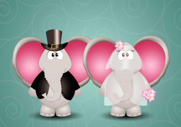 龙最配什么属相_属龙最佳婚配属相