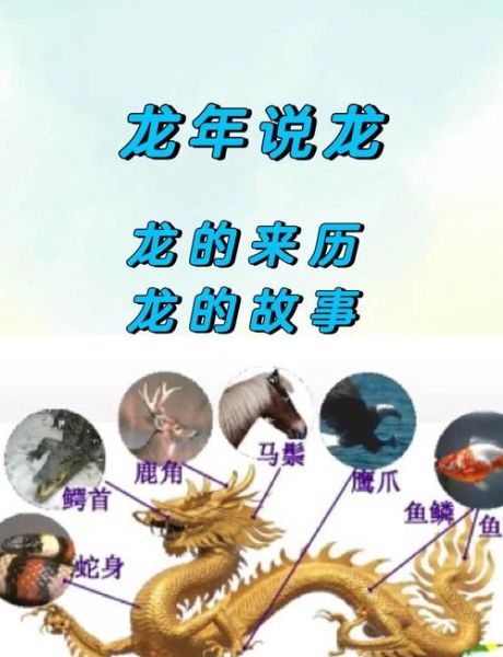 龙的来历是什么_龙为什么象征权威