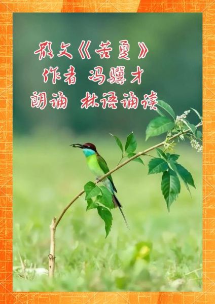 苦夏属相是什么_苦夏属相怎么化解