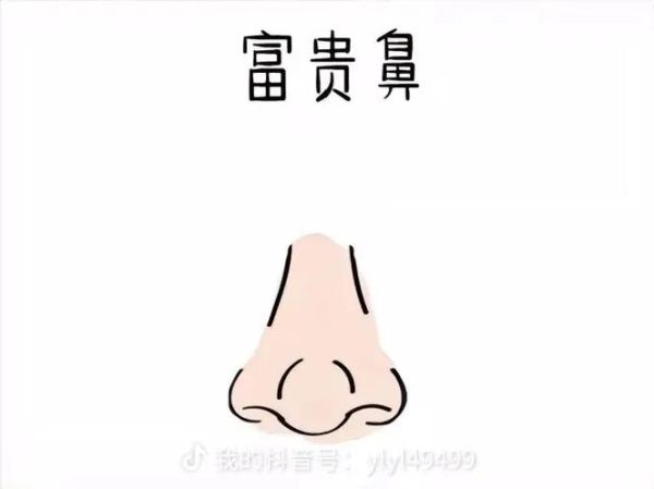 鼻翼丰满代表什么_鼻翼有肉财运好吗
