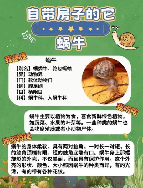 梦到蜗牛从壳里出来_意味着什么