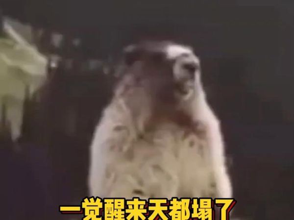 梦到天塌下来了_有什么预兆