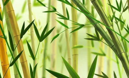 秋天属什么生肖_秋天出生的人命运如何