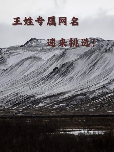 王姓财运昵称怎么取_王姓招财网名大全