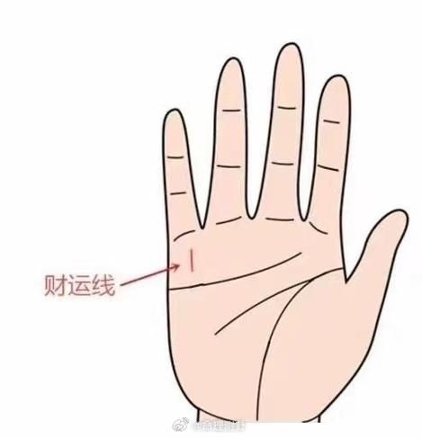 财运线短_财运线短代表什么
