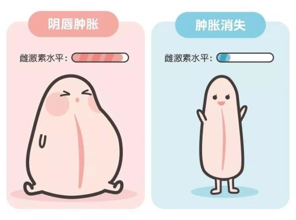 阴唇形状会影响财运吗_阴唇大小与财富关系