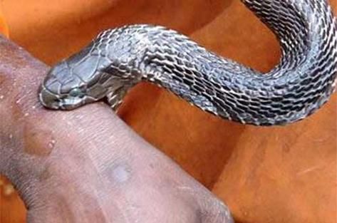 梦到被划伤是什么意思_如何化解