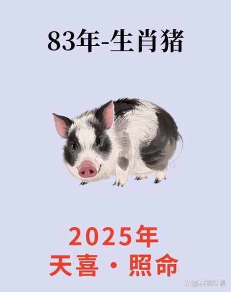 猪年财运成语有哪些_如何提升猪年财运