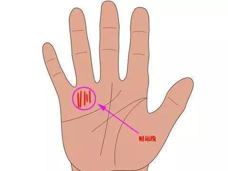 财运线在哪_健康线在哪